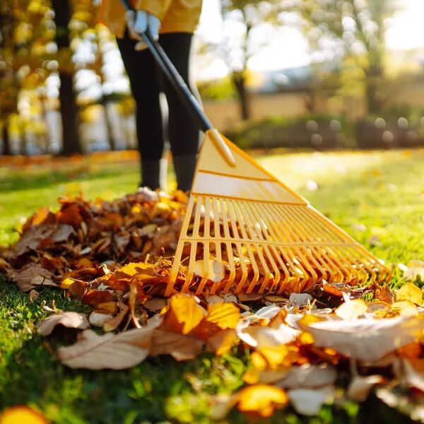 Priorités du jardin en septembre