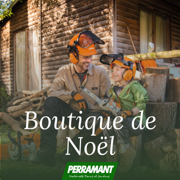 🎄La collection de Noël est arrivée🎄